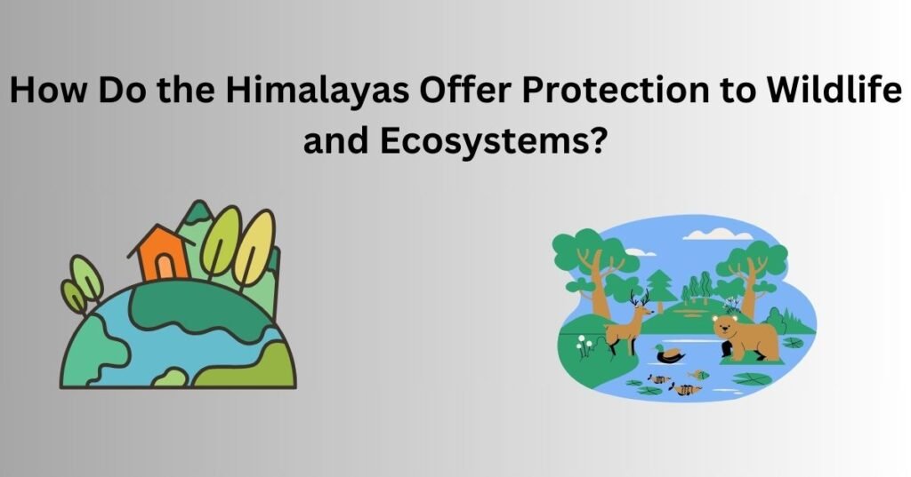 How Do the Himalayas Offer Protection to Wildlife and Ecosystems?