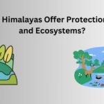 How Do the Himalayas Offer Protection to Wildlife and Ecosystems?