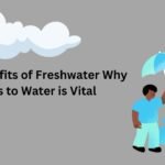 Social Benefits of Freshwater Why Access to Water is Vital