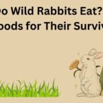 What Do Wild Rabbits Eat? Natural Foods for Their Survival