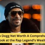 Snoop Dogg Net Worth A Comprehensive Look at the Rap Legend's Wealth