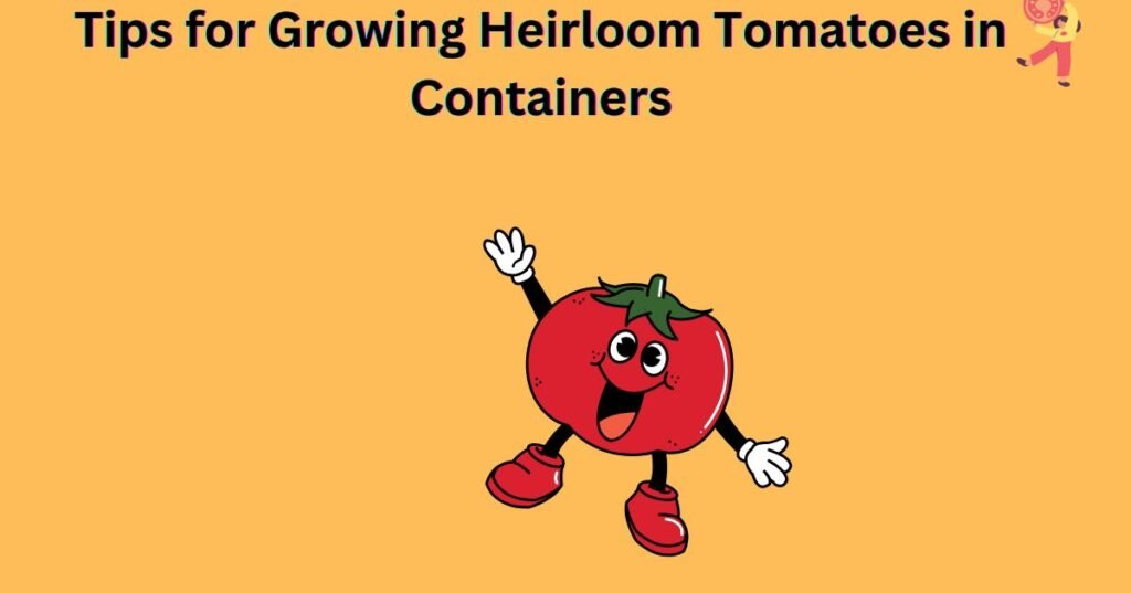 Tips for Growing Heirloom Tomatoes in Containers