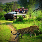 Chitwan