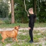 Dog Manners Training Scottsdale AZ