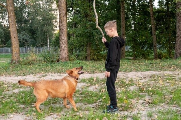 Dog Manners Training Scottsdale AZ